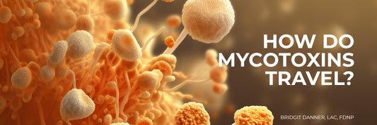 How Do Mycotoxins Travel?