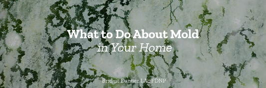 What to Do About Toxic Mold in Your Home