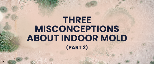 Three Misconceptions about Indoor Mold